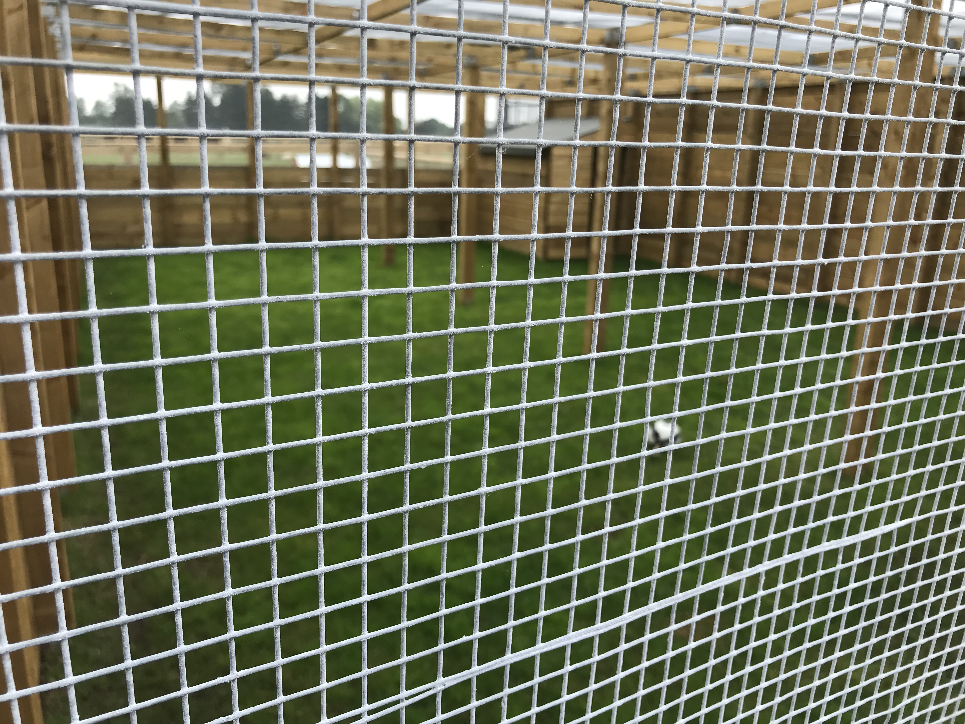 Large Dog Run Farm and Country Fencing